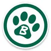 Free play online Animals B APK