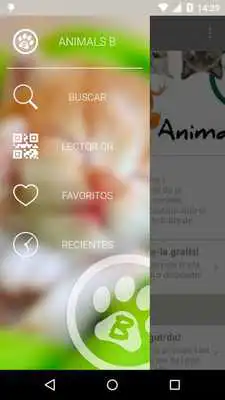 Play Animals B Play Animals B
