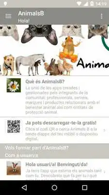Play Animals B Play Animals B
