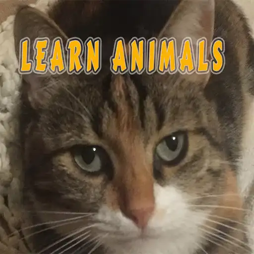 Play ANIMALS by C. U.(from Bilsem) APK