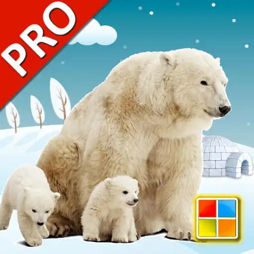 Play Animals Cards PRO APK Play Animals Cards PRO APK