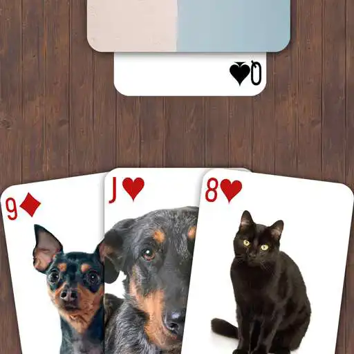 Play Animals Durak Cards Game APK Play Animals Durak Cards Game APK