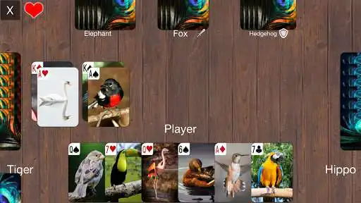 Play Animals Durak Cards Game  and enjoy Animals Durak Cards Game with UptoPlay