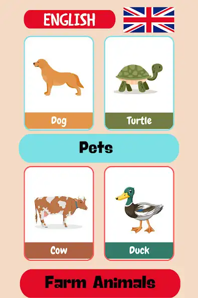 Play Animals Flashcards  and enjoy Animals Flashcards with UptoPlay