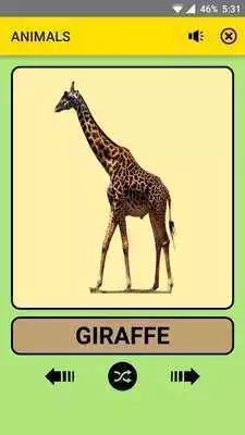Play Animals For Kids : Educational Game