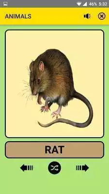 Play Animals For Kids : Educational Game