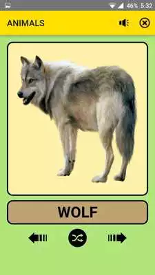 Play Animals For Kids : Educational Game