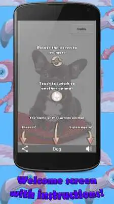 Play Animals for Kids Pics Sounds Play Animals for Kids Pics Sounds