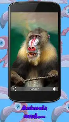 Play Animals for Kids Pics Sounds Play Animals for Kids Pics Sounds