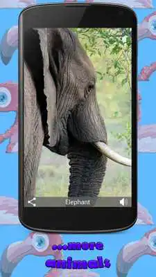 Play Animals for Kids Pics Sounds Play Animals for Kids Pics Sounds