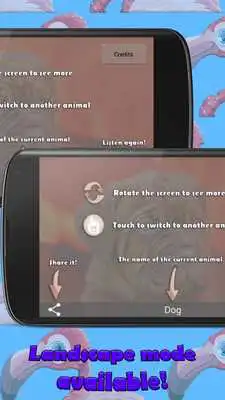 Play Animals for Kids Pics Sounds Play Animals for Kids Pics Sounds