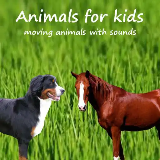 Run free android online Animals for kids with horses APK Run free android online Animals for kids with horses APK