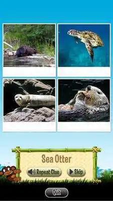 Play Animals Fun Learning Game-Free