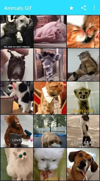 Play Animals GIFs  and enjoy Animals GIFs with UptoPlay