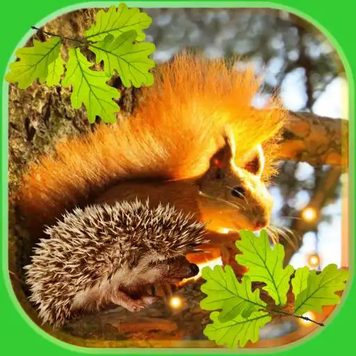 Play Animals Great Collection APK