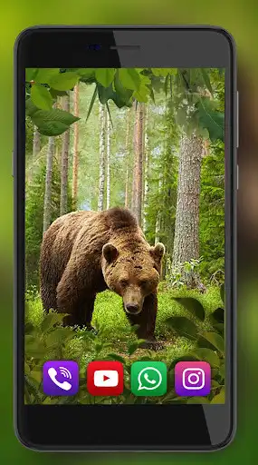 Play Animals Great Collection  and enjoy Animals Great Collection with UptoPlay