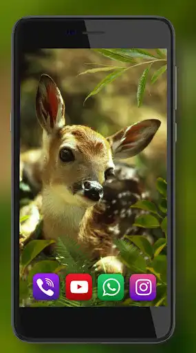 Play Animals Great Collection as an online game Animals Great Collection with UptoPlay