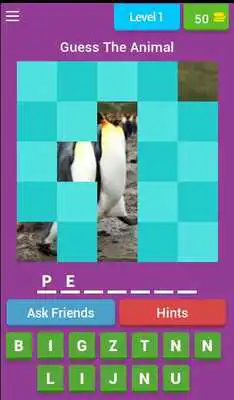 Play Animals Guessing