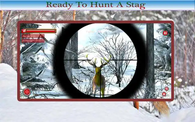 Play Animals Hunting 2015