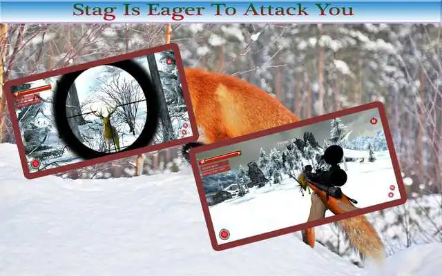 Play Animals Hunting 2015
