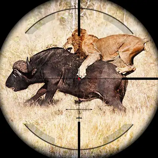 Play Animals Hunting Games Gun Game APK Play Animals Hunting Games Gun Game APK