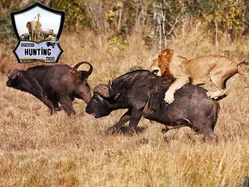 Play Animals Hunting Games Gun Game  and enjoy Animals Hunting Games Gun Game with UptoPlay