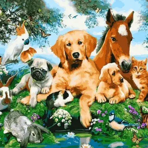 Play Animals APK