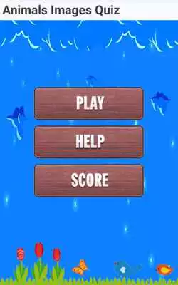 Play Animals Images Quiz