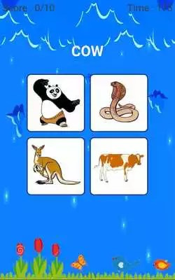 Play Animals Images Quiz