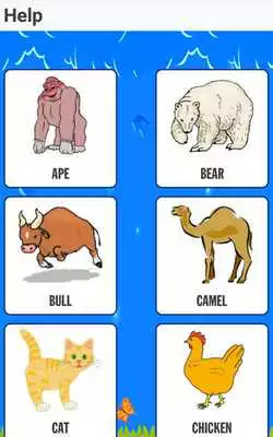 Play Animals Images Quiz