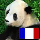 Free play online Animals in french APK