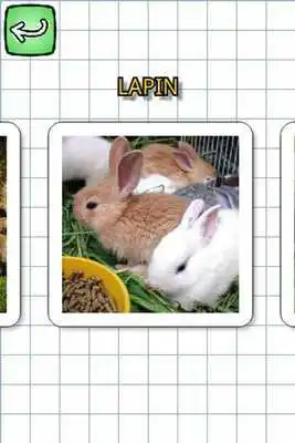 Play Animals in french