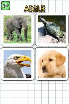Play Animals in french