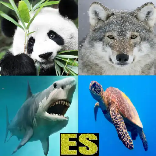 Play Animals in Spanish learning quiz APK Play Animals in Spanish learning quiz APK