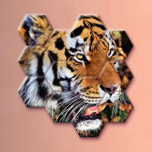 Play Animals Jigsaw! - Hexa puzzle APK