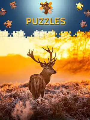 Play Animals Jigsaw Puzzles Free