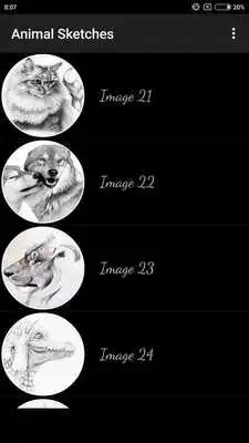 Play Animal Sketches