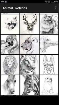 Play Animal Sketches