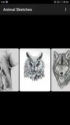 Play Animal Sketches
