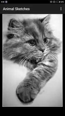 Play Animal Sketches