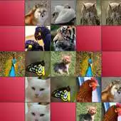 Free play online Animals Matching Game APK Free play online Animals Matching Game APK