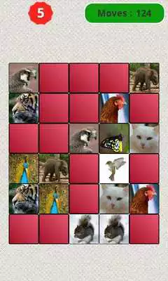 Play Animals Matching Game