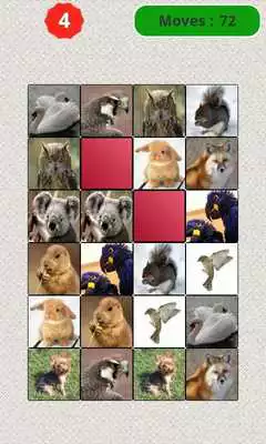 Play Animals Matching Game