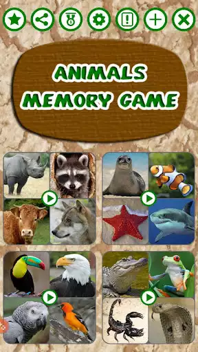 Play Animals Memory Game  and enjoy Animals Memory Game with UptoPlay