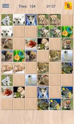 Play Animals Memory Play Animals Memory
