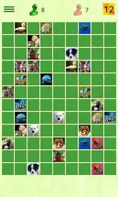 Play Animals Memory Play Animals Memory