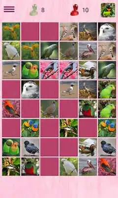 Play Animals Memory Play Animals Memory