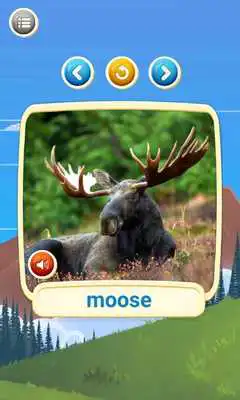 Play Animals names for toddlers: Animals baby learning