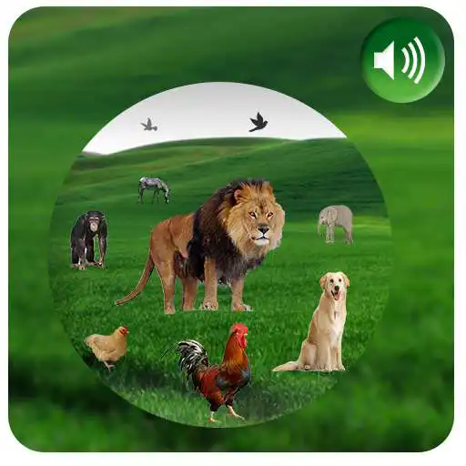 Run free android online Animals Names APK