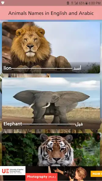 Play Animals Names in English and Arabic and enjoy Animals Names in English and Arabic with UptoPlay Play Animals Names in English and Arabic and enjoy Animals Names in English and Arabic with UptoPlay